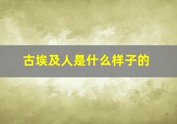 古埃及人是什么样子的