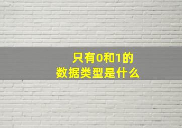 只有0和1的数据类型是什么