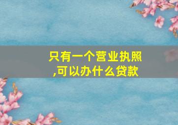 只有一个营业执照,可以办什么贷款