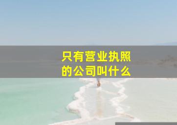 只有营业执照的公司叫什么