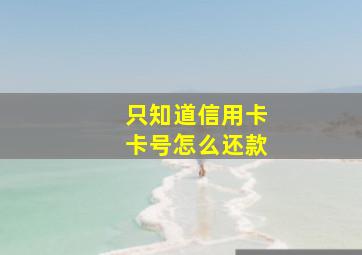 只知道信用卡卡号怎么还款