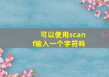 可以使用scanf输入一个字符吗