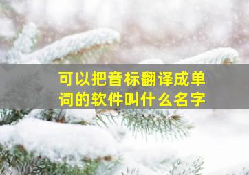 可以把音标翻译成单词的软件叫什么名字