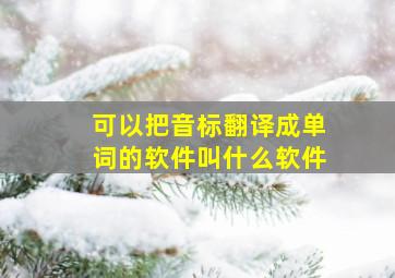 可以把音标翻译成单词的软件叫什么软件