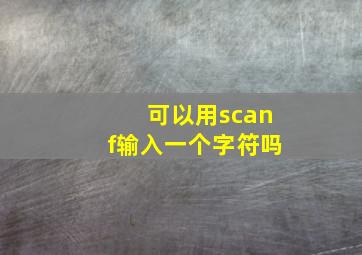 可以用scanf输入一个字符吗