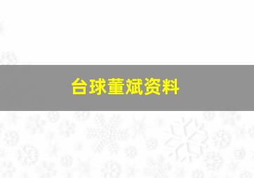 台球董斌资料