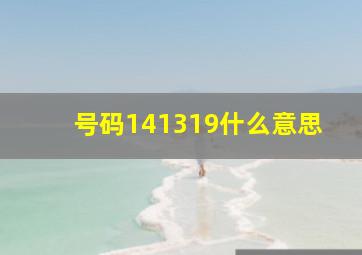 号码141319什么意思