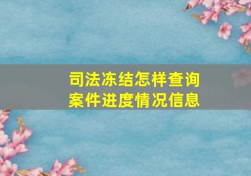 司法冻结怎样查询案件进度情况信息