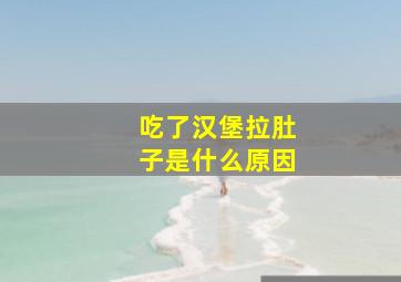 吃了汉堡拉肚子是什么原因