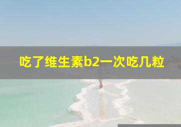 吃了维生素b2一次吃几粒