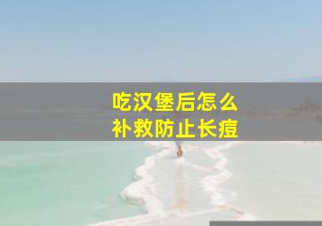 吃汉堡后怎么补救防止长痘