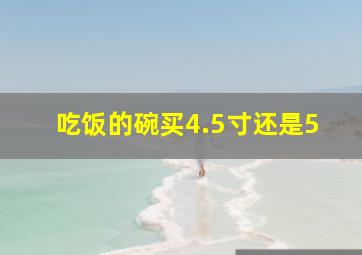 吃饭的碗买4.5寸还是5