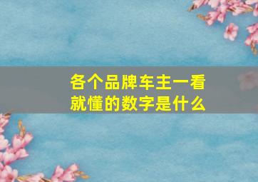 各个品牌车主一看就懂的数字是什么