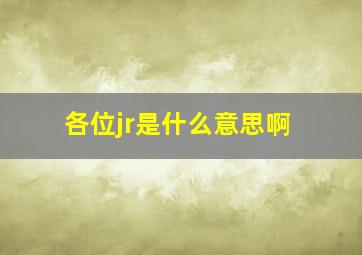 各位jr是什么意思啊