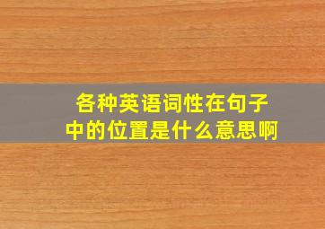 各种英语词性在句子中的位置是什么意思啊