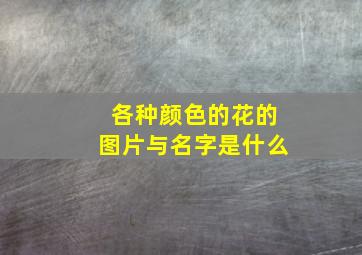 各种颜色的花的图片与名字是什么