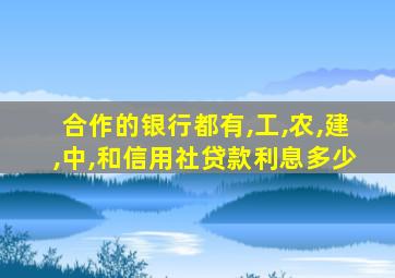 合作的银行都有,工,农,建,中,和信用社贷款利息多少