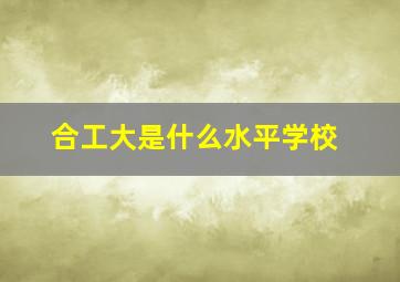 合工大是什么水平学校