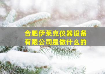 合肥伊莱克仪器设备有限公司是做什么的