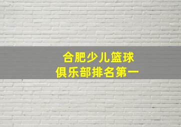 合肥少儿篮球俱乐部排名第一