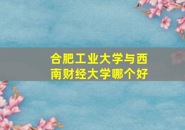 合肥工业大学与西南财经大学哪个好