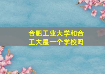 合肥工业大学和合工大是一个学校吗