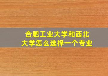 合肥工业大学和西北大学怎么选择一个专业