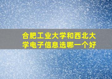 合肥工业大学和西北大学电子信息选哪一个好