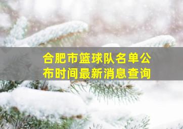 合肥市篮球队名单公布时间最新消息查询