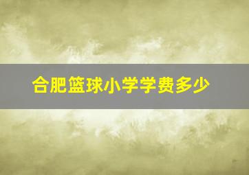 合肥篮球小学学费多少