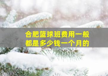 合肥篮球班费用一般都是多少钱一个月的