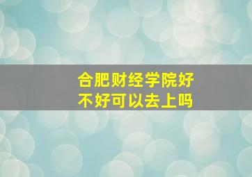 合肥财经学院好不好可以去上吗