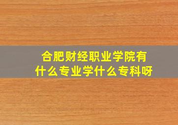 合肥财经职业学院有什么专业学什么专科呀