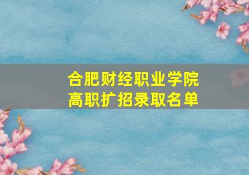 合肥财经职业学院高职扩招录取名单