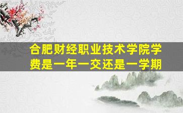 合肥财经职业技术学院学费是一年一交还是一学期