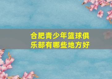 合肥青少年篮球俱乐部有哪些地方好