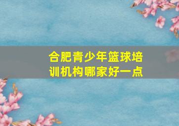 合肥青少年篮球培训机构哪家好一点