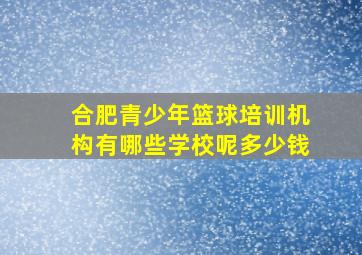 合肥青少年篮球培训机构有哪些学校呢多少钱