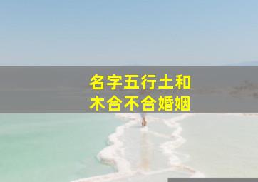 名字五行土和木合不合婚姻