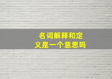 名词解释和定义是一个意思吗