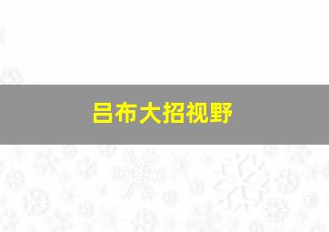 吕布大招视野