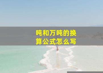 吨和万吨的换算公式怎么写