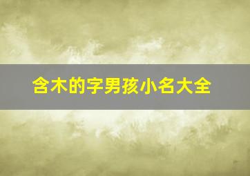 含木的字男孩小名大全