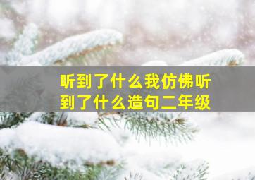 听到了什么我仿佛听到了什么造句二年级