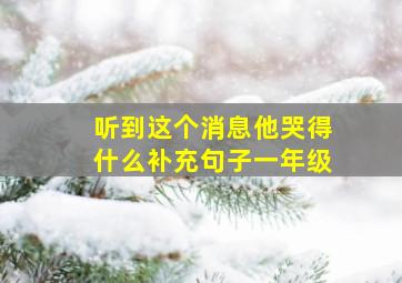 听到这个消息他哭得什么补充句子一年级