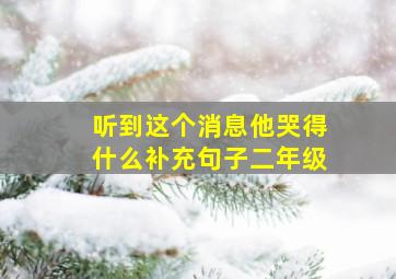 听到这个消息他哭得什么补充句子二年级