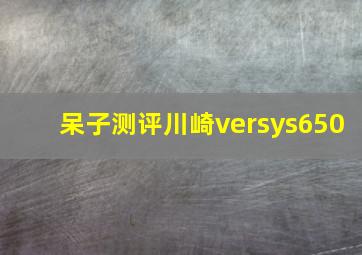 呆子测评川崎versys650