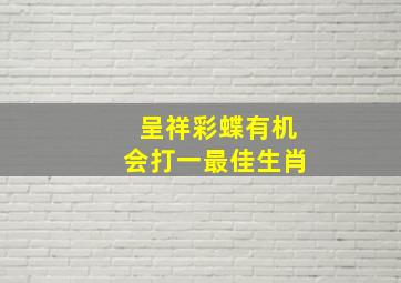 呈祥彩蝶有机会打一最佳生肖