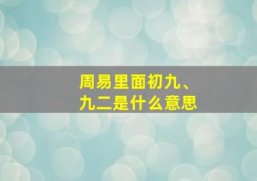 周易里面初九、九二是什么意思