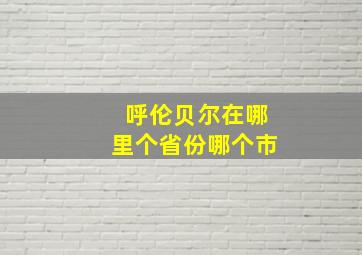 呼伦贝尔在哪里个省份哪个市